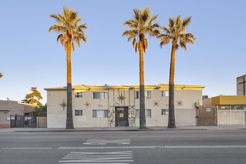 Three palm trees in front of a building with a yellow awning.