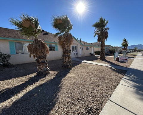 A sunny day with palm trees and houses in the background.