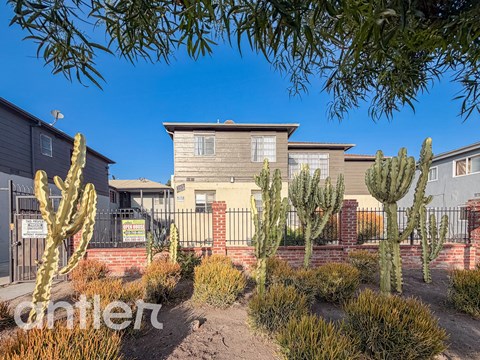 A house with a cactus in front of it.