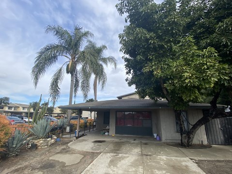 A house with a driveway and a tree in front.