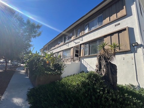 A sunny day with a building and a tree in the foreground.