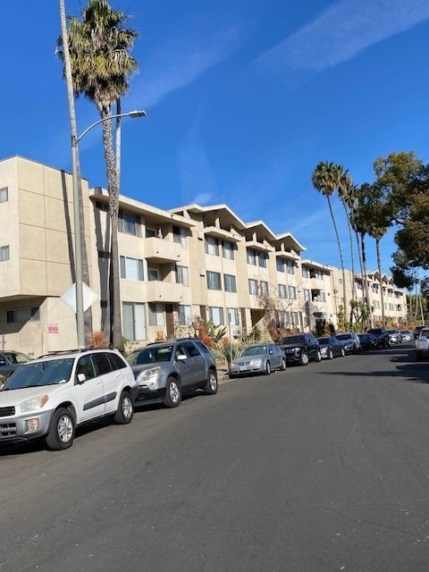 A row of cars parked in front of a building with palm trees.