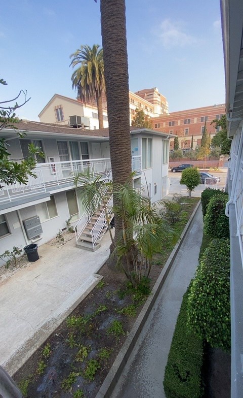 A view of a street from a window with a palm tree in the distance.
