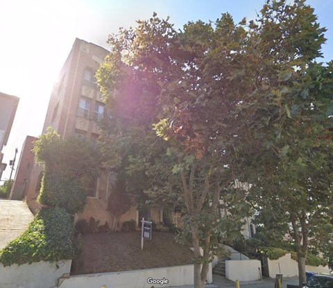 A tree in front of a building with a sign in front of it.