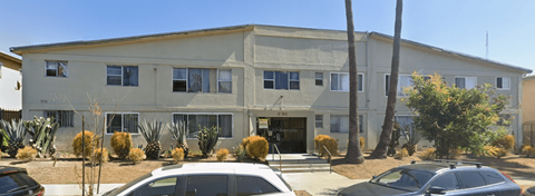 A building with a white facade and a palm tree in front.