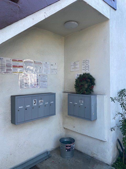 A wall with a bunch of papers on it and a plant on top of a box.