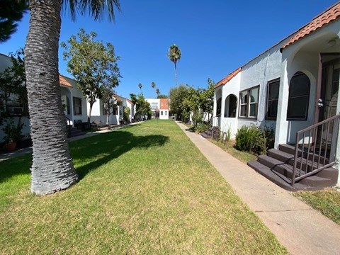A row of houses with a palm tree in the distance.