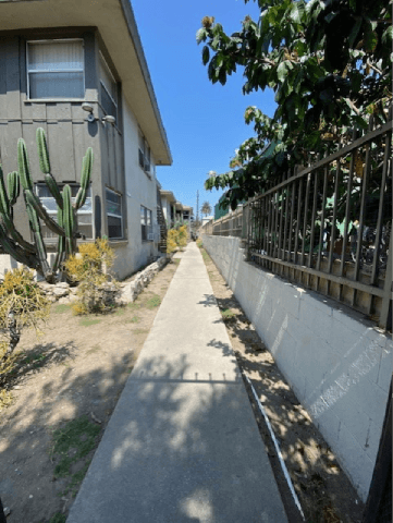 A cactus is in front of a grey house.