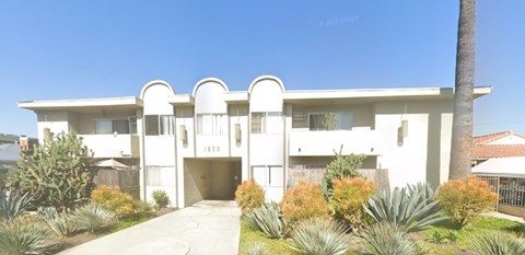 A white modern house with a palm tree in front.