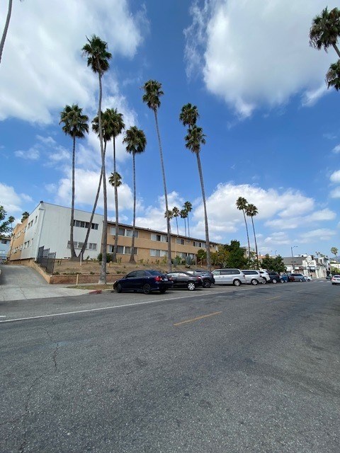 Palm trees line a street in front of apartment buildings.