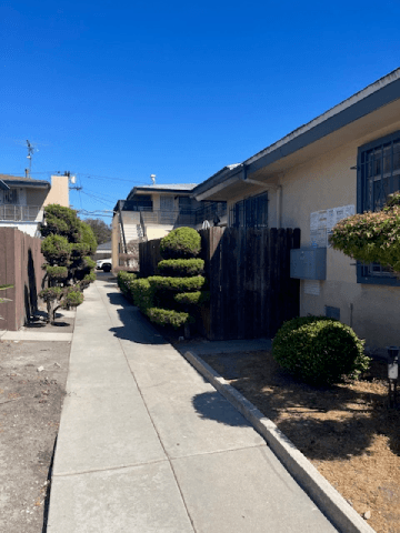 A residential street with houses and a sidewalk.
