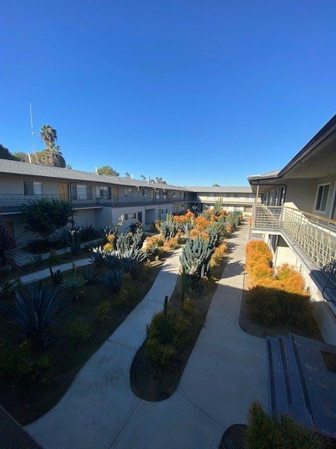 A sunny day at the courtyard with plants and pathways.