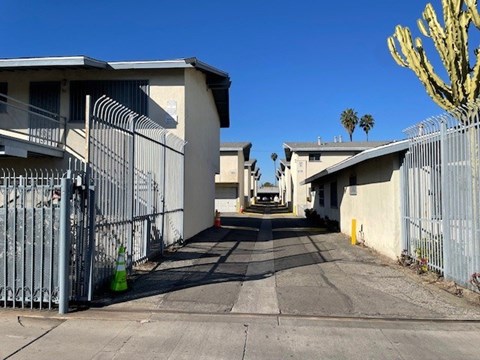 A long driveway with a metal fence and a cactus in the background.