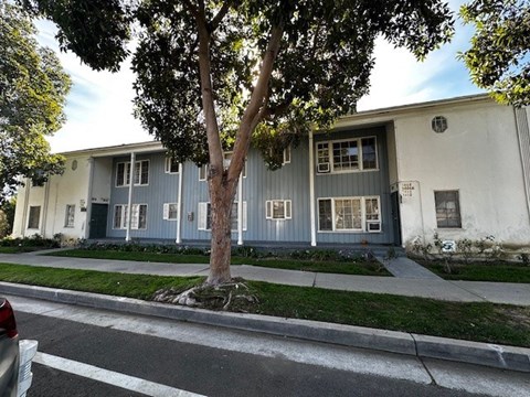 A tree in front of a grey building with a white door.