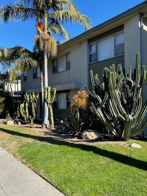 A cactus with a bird's nest on top stands in front of a building.