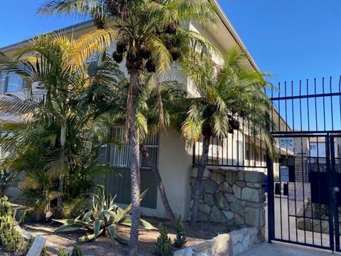 A house with a black gate and a palm tree in front.
