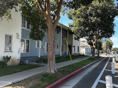 A tree stands on the sidewalk in front of a blue and white building.