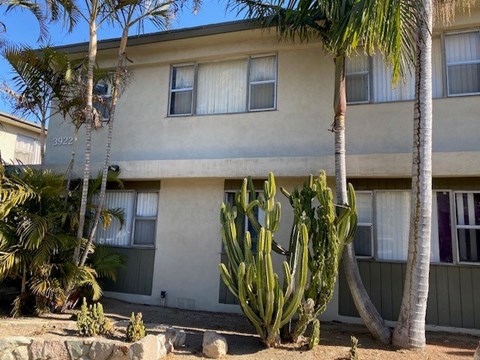 A building with the number 3822 on it is surrounded by palm trees and cacti.