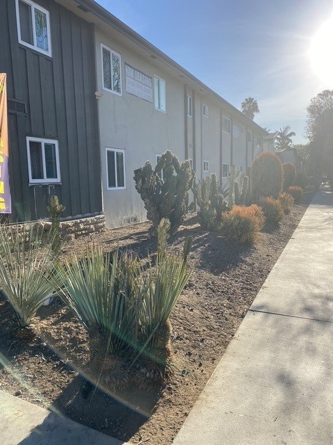 A sunny day at a residential area with houses and plants.
