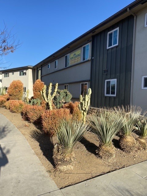 A row of cacti and succulents in front of a building.
