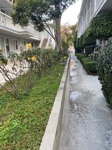 A wet sidewalk in front of a building with a tree and bushes on the side.