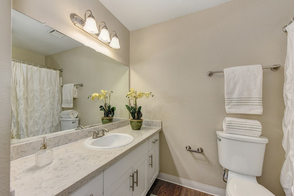 Bathroom with Toilet, Hardwood Inspired Floor, Vanity, and Sink at Cobblestone Creek Apartments, Roseville