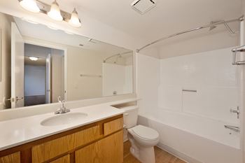 the preserve at ballantyne commons apartment bathroom with sink toilet and tub