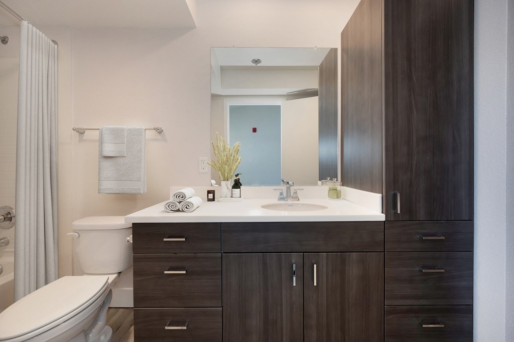 a bathroom with a sink and a toilet and a mirror  at Track 281 Apartments, Sacramento, CA, 95811