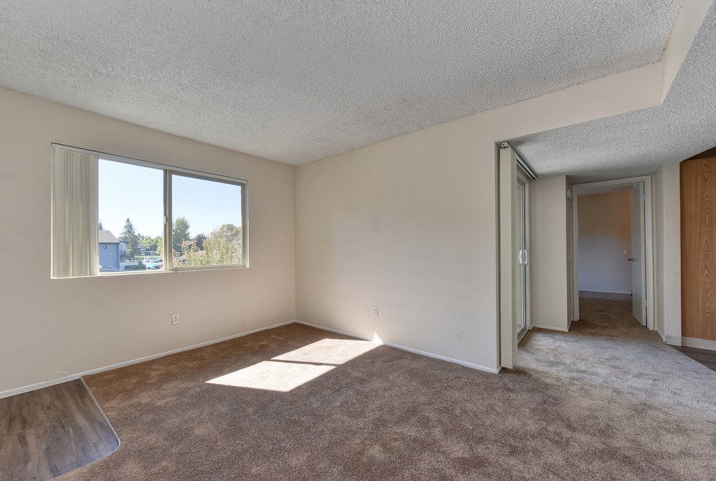 Upstairs home with plush carpeting and a large window with natural lighting coming in.