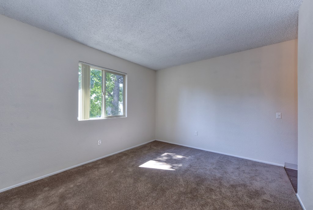 Vacant upstairs bedroom with carpeting and large window