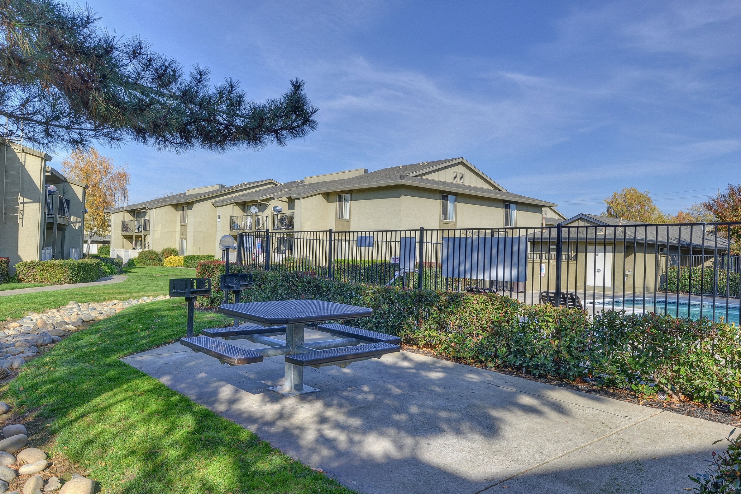 BBQ are with  Picnic Space, Grass, Trees