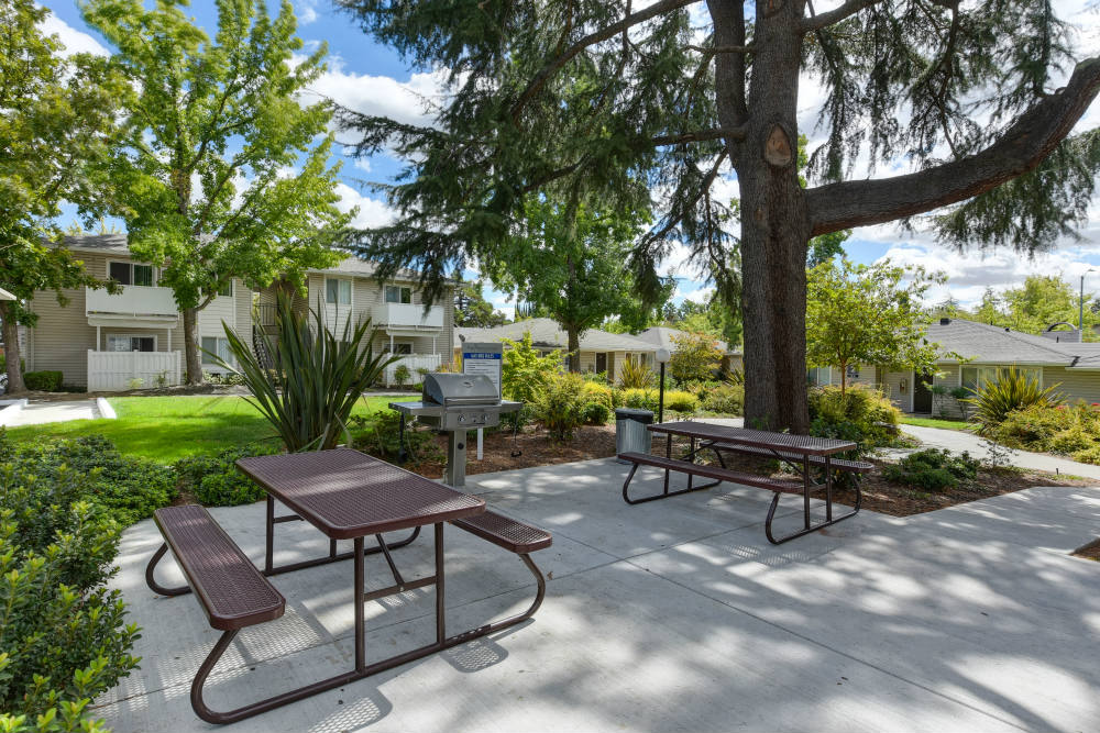 BBQ and Picnic Area with two picnic benches and shade trees at The Renaissance Apartments, California, 95610