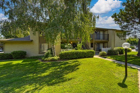 Apartment building with large birth tree and grass in front. 