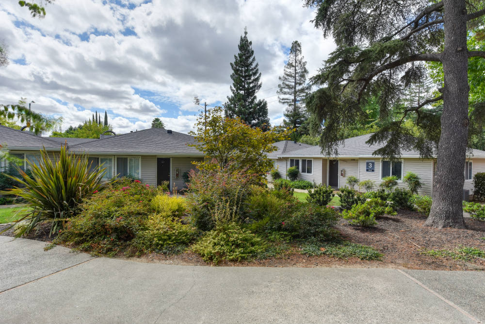 Building Exterior and Landscaping, with Walkway and Trees at The Renaissance Apartments, Citrus Heights California