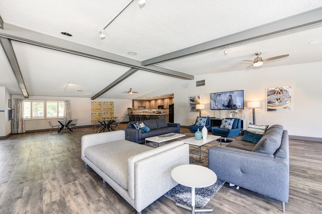 Clubhouse Sitting Area with Hardwood Inspired Floor, Gray Sofa, Rug and Ceiling Fan/Light at The Renaissance Apartments, Citrus Heights California
