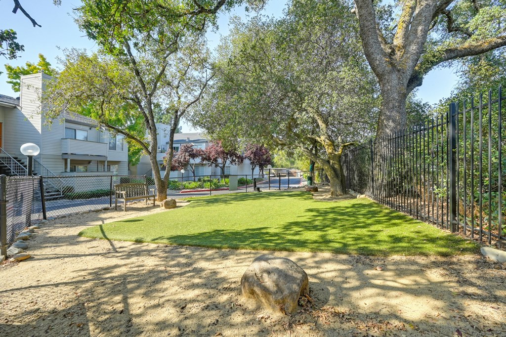 Dog Park On Site  with fenced in area with turf, water drinking fountian for dogs and shaded by large oak tree.