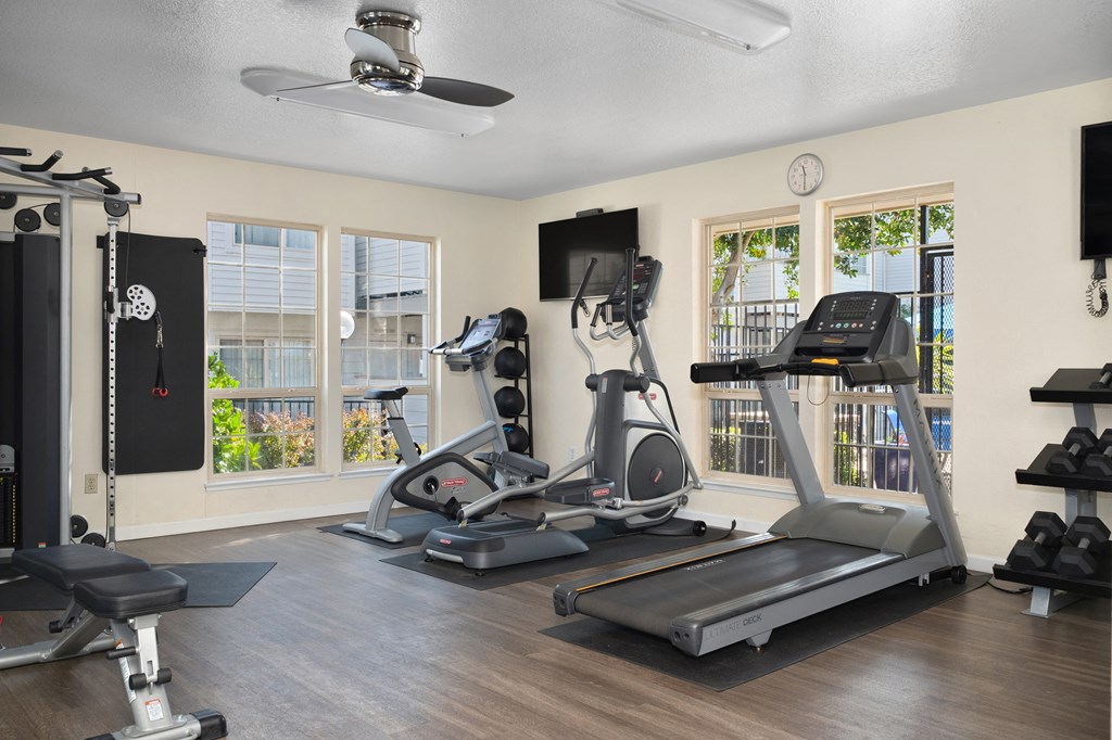 two treadmills and other exercise equipment in a gym with windows