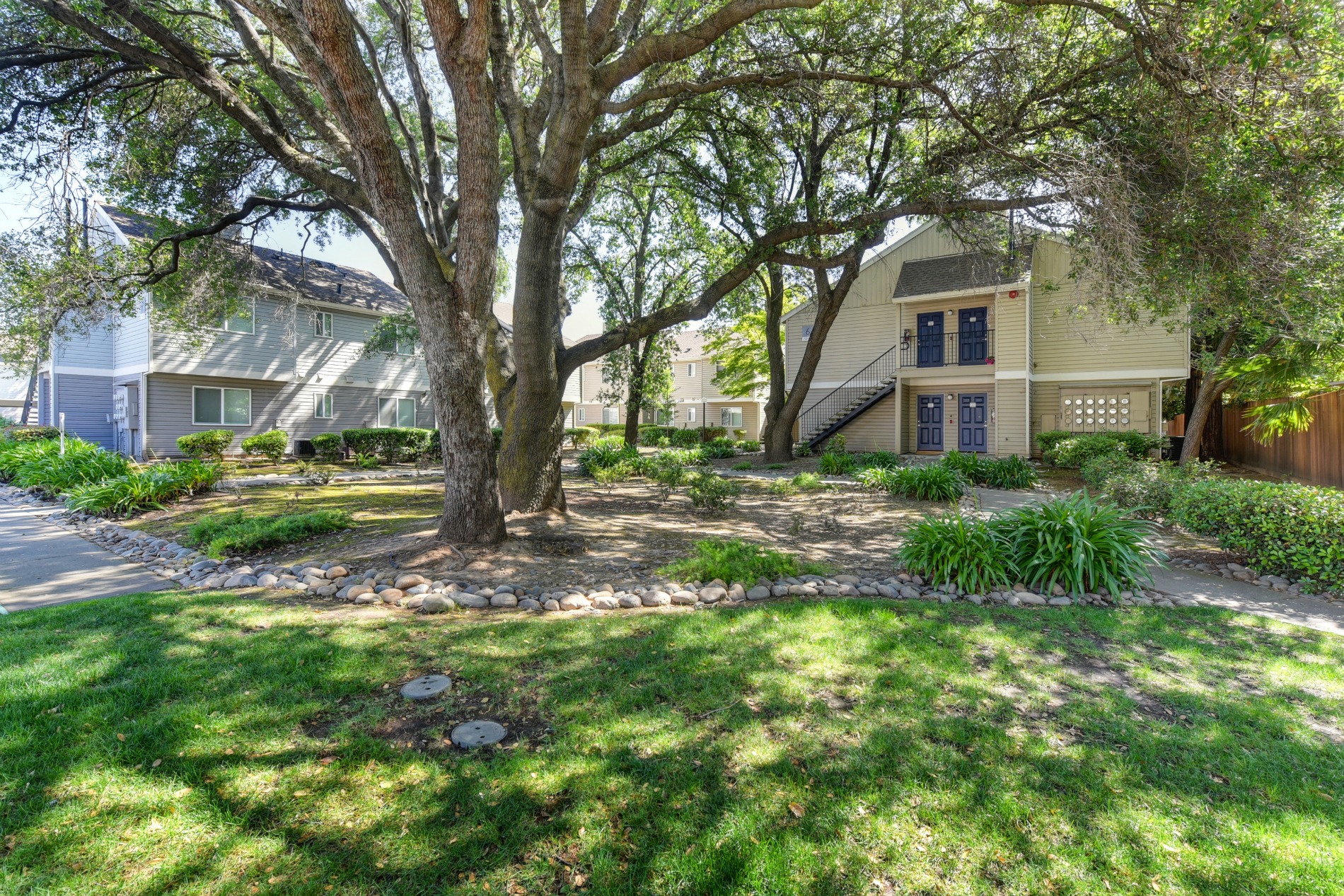 Apartment Exterior with Trees, Grass, and Walk Way at Hidden Oaks Apartments, Citrus Heights