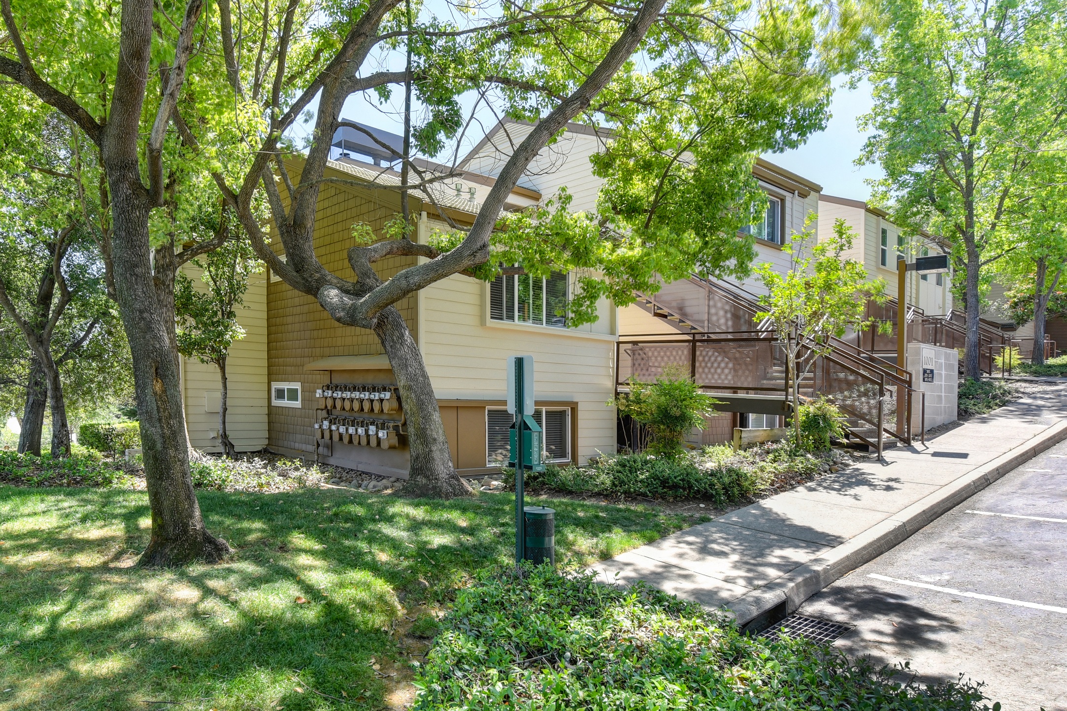 Community Outdoor Green Space with Street, Trees and Apartment Exteriors at Folsom Ranch, Folsom, 95630
