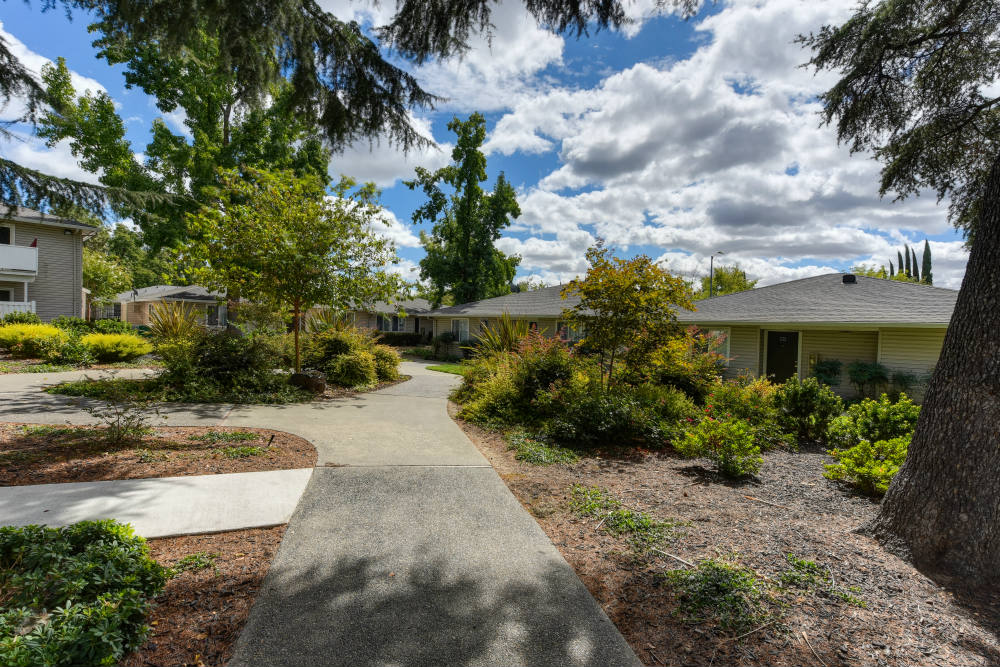 Community Walking Path and Landscaping with Trees, Shrubs and Blue Sky at The Renaissance Apartments, California
