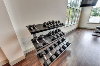 a gym with weights on a rack in the corner of a room