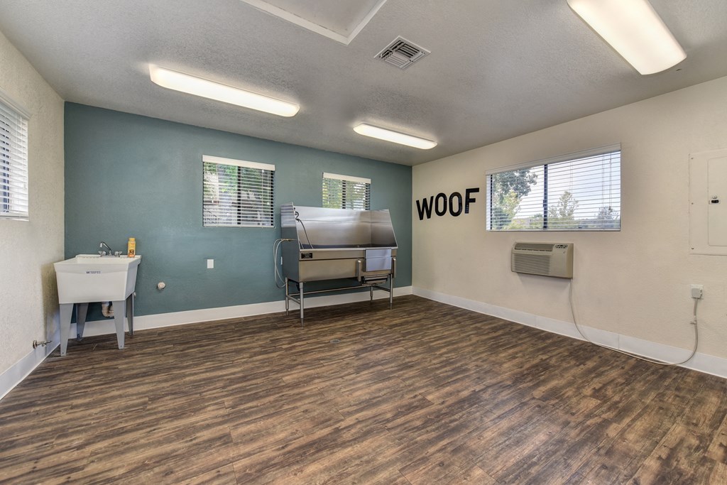 Dog Spa Tub with Sink, Hardwood Inspired Floor, Dog Washing Tub, WOOF Written in Black Letters on Wall, and Fluorescent Lights