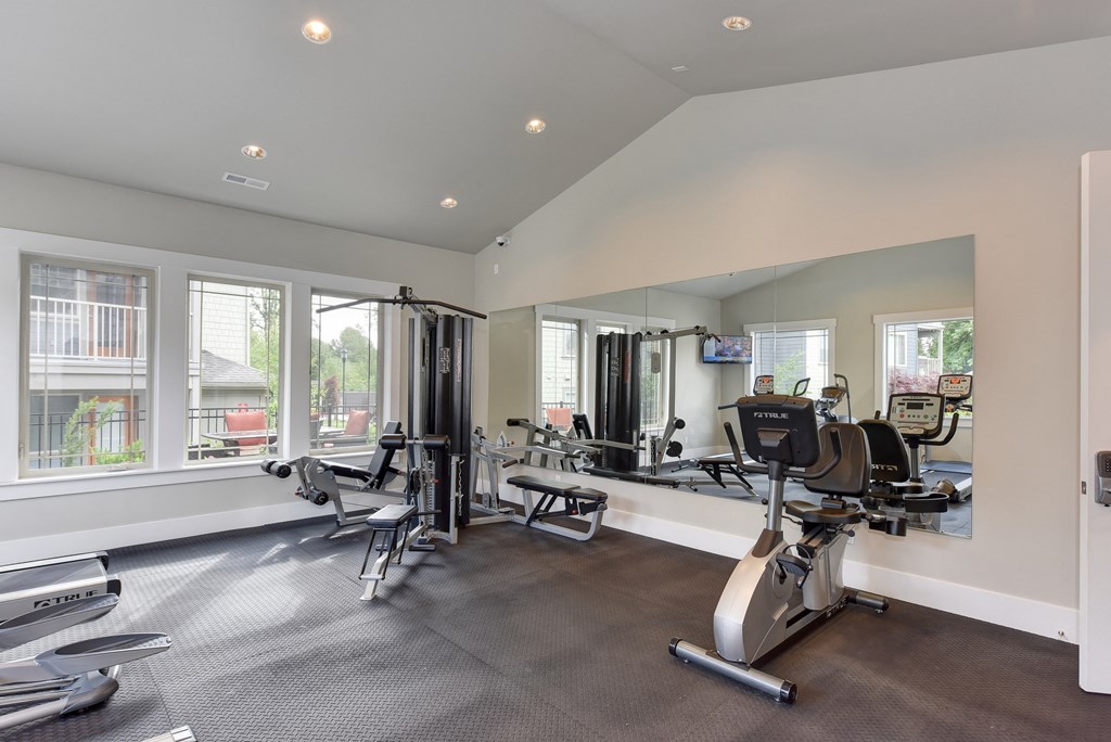 Fitness Center with Excercise Bike, Chest Machines, Full Mirrors, Rubber Matt Floor
