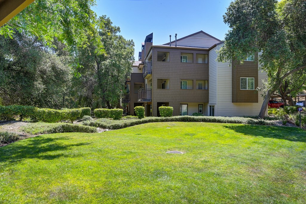 Folsom Ranch property grounds with large grassy area, mature trees and the apartment buildings in the distance.
