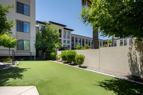 A green lawn in front of a building.