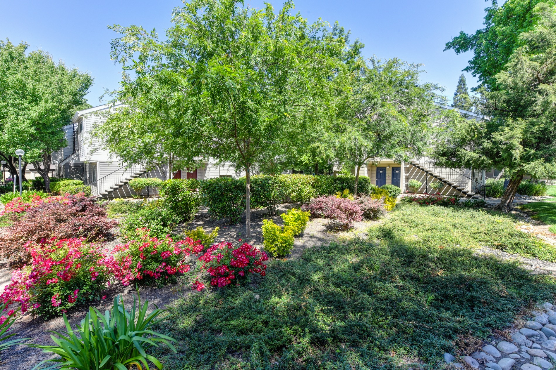 Green Outdoor Space with Trees, Bushes and Walkway at Hidden Oaks Apartments, Citrus Heights, CA, 95621