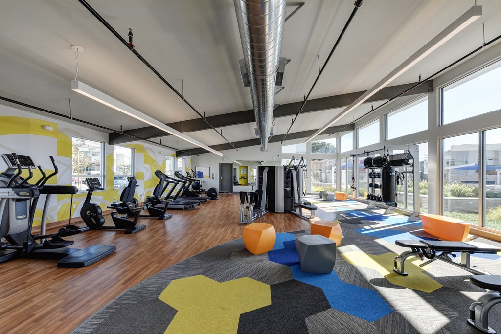 Gym with Hardwood Floor, Treadmills, Excercise Bike, Weight Machines, Full Windows with View of Exterior at Addison Ranch Apartments, Petaluma