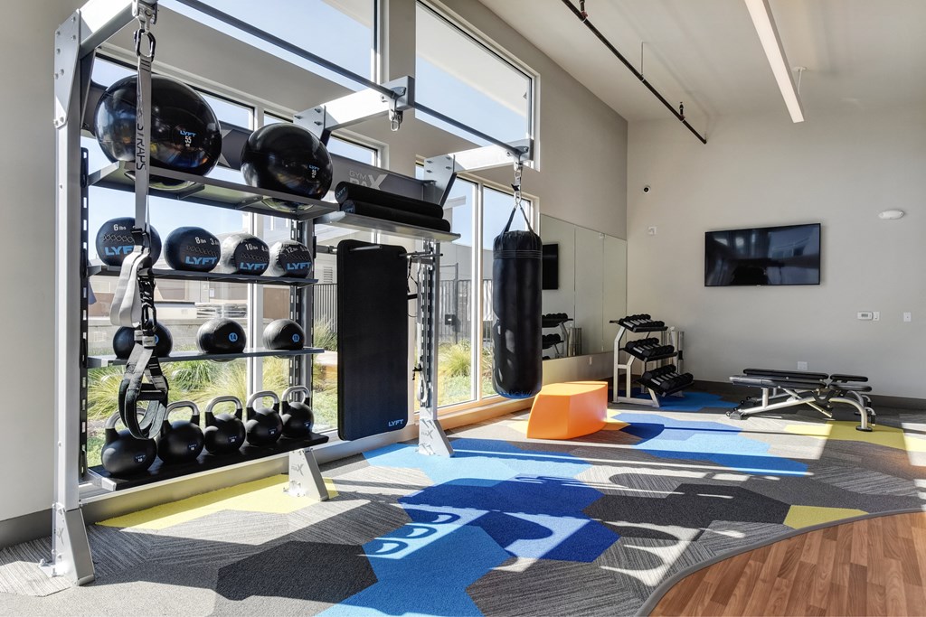 Gym with Wood Floor, Rug, Medicine Balls, Kettle Bells, Punching Bag, Wall Mounted Television, Workout Bench, Mirrors at Addison Ranch Apartments, Petaluma, California