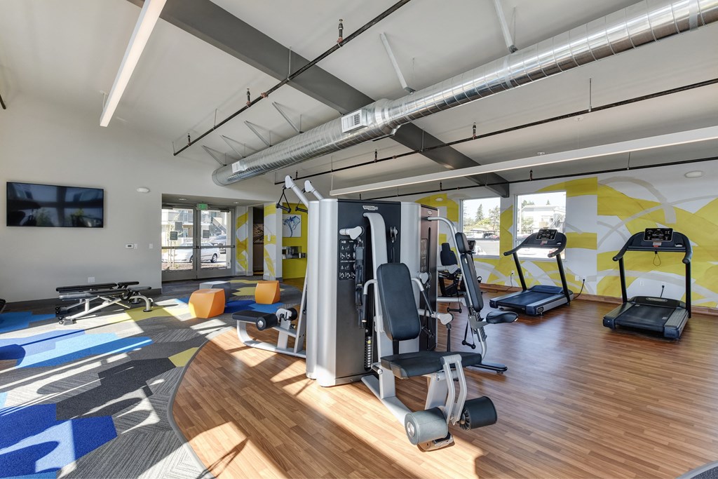 Gym with Hardwood Floor, Treadmills, Excercise Bike, Weight Machines, Full Windows with View of Exterior at Addison Ranch Apartments, California, 94954