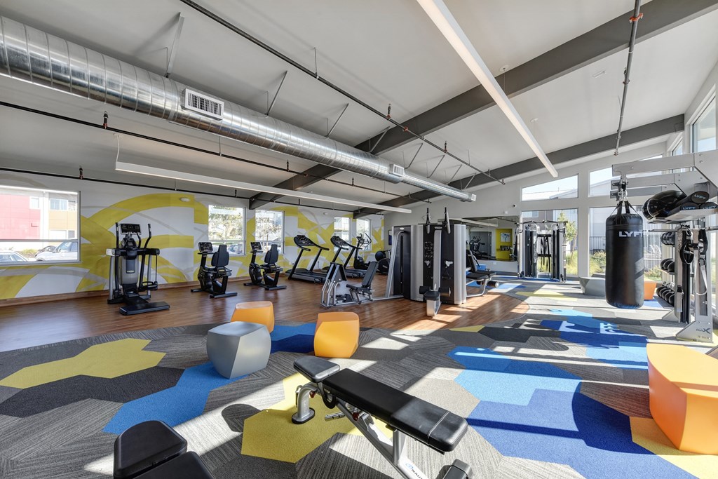 Gym with Hardwood Floor, Treadmills, Excercise Bike, Weight Machines, Full Windows with View of Exterior  at Addison Ranch Apartments, Petaluma, 94954